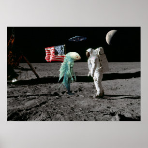 Close Encounter. Poster