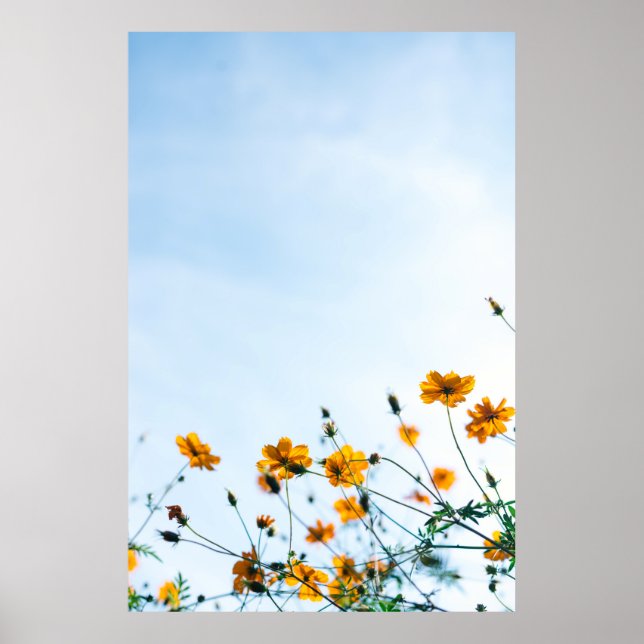 Close shot of yellow flowers poster (Front)