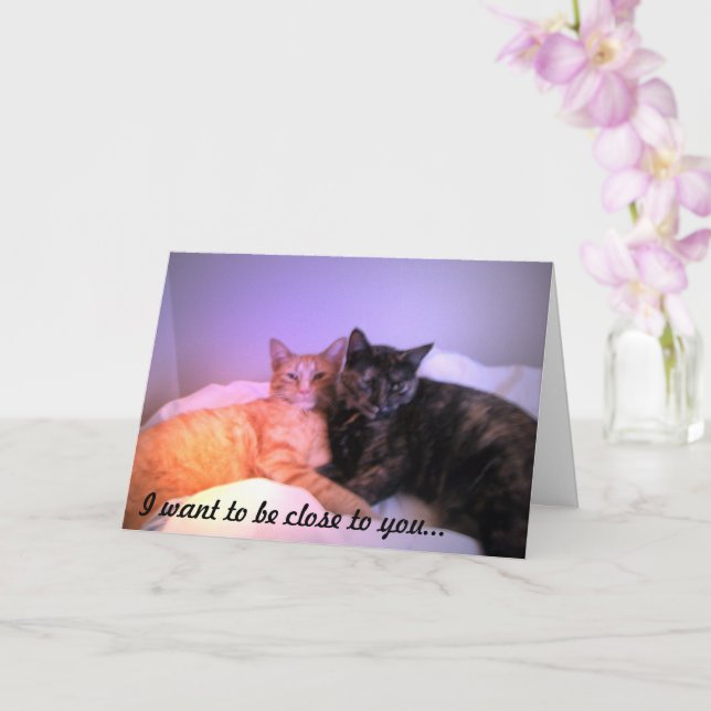 Close to You Greeting Card (Orchid)