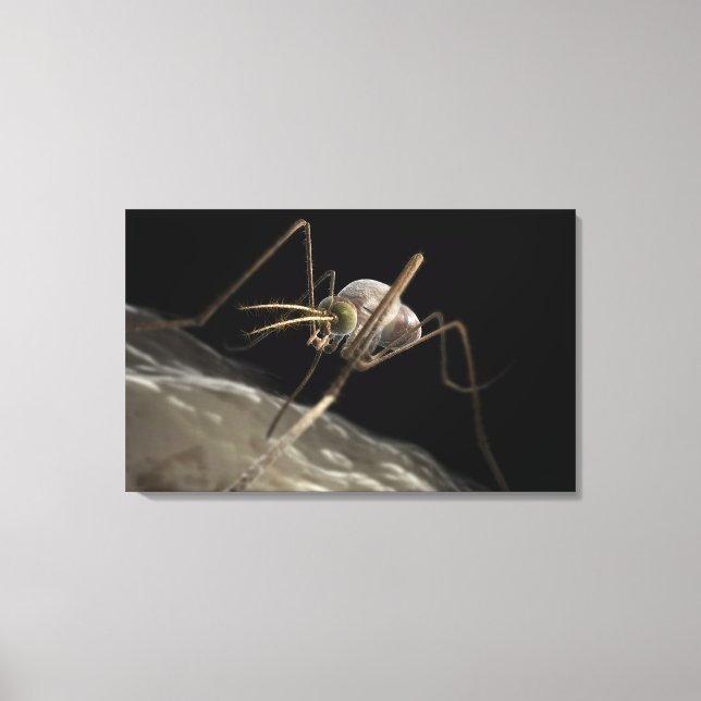 Close up 3d mosquito biting canvas print (Front)
