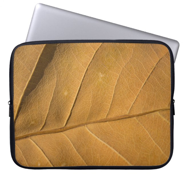 Close-up abstract dry leaf texture backgroundabstr laptop sleeve (Front)