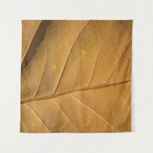 Close-up abstract dry leaf texture backgroundabstr tapestry