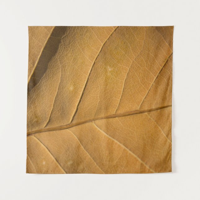 Close-up abstract dry leaf texture backgroundabstr tapestry (Front)