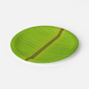 Close-Up Banana Leaf Paper Plates