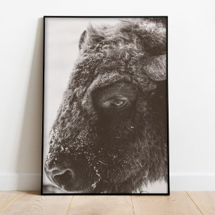 Close-Up Bison Portrait Black and White Wall Art