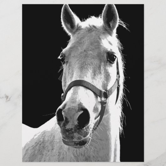 Close-up Black White Horse in Night (Front)
