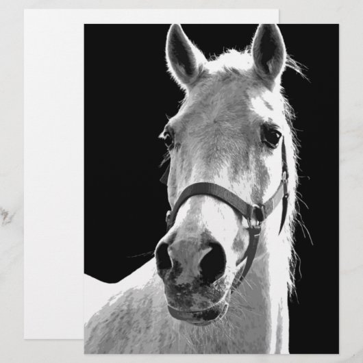 Close-up Black White Horse in Night (Front/Back)