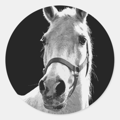 Close_up Black White Horse in Night Classic Round Sticker