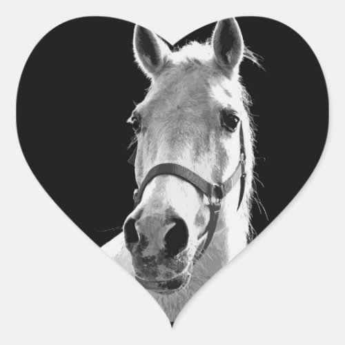 Close_up Black White Horse in Night Heart Sticker