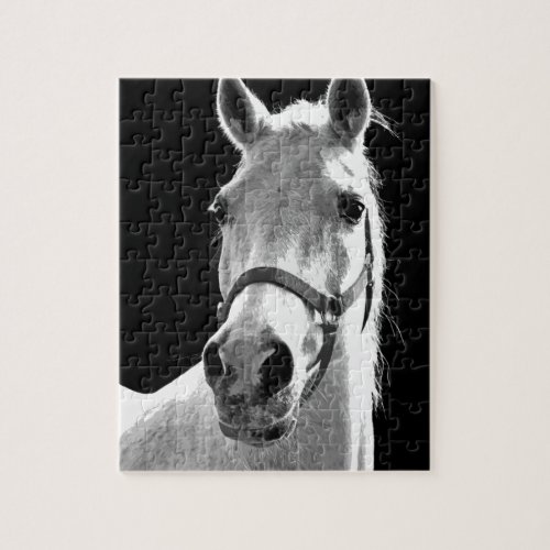 Close_up Black White Horse in Night Jigsaw Puzzle