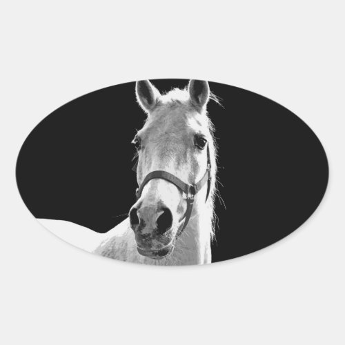Close_up Black White Horse in Night Oval Sticker