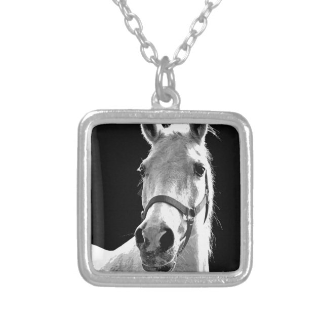 Close-up Black White Horse in Night Silver Plated Necklace (Front)