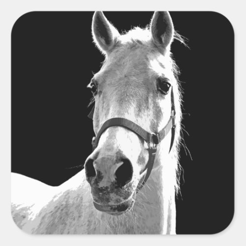 Close_up Black White Horse in Night Square Sticker