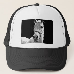 Close-up Black White Horse in Night Trucker Hat