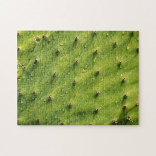 Close_up Cactus extremely difficult Jigsaw Puzzle