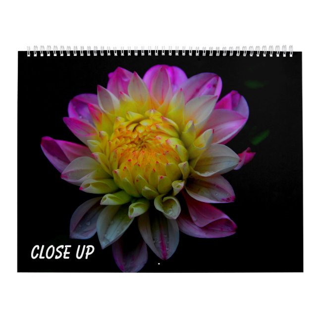 Close up calendar (Cover)