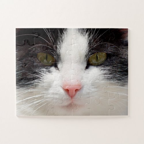 Close Up Cat Face Easy Jigsaw Puzzle