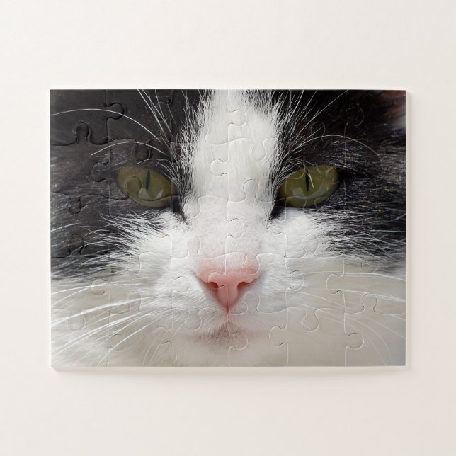 Close Up Cat Face, Easy Jigsaw Puzzle (Horizontal)