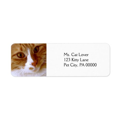 Close Up Cat Return Address Labels