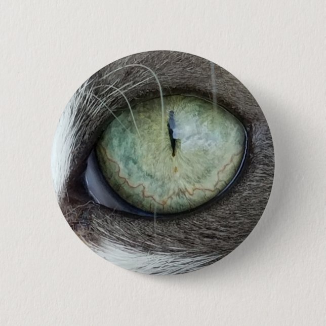 Close Up Cat's Eye Button (Front)