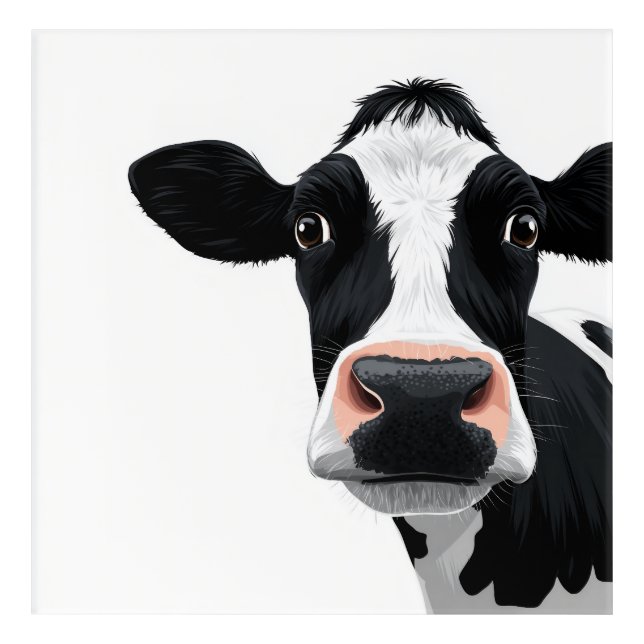 Close-Up Cow Curiosity Acrylic Print (Front)