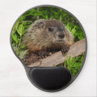 Close Up Cute Baby Woodchuck Groundhog  Gel Mouse Pad