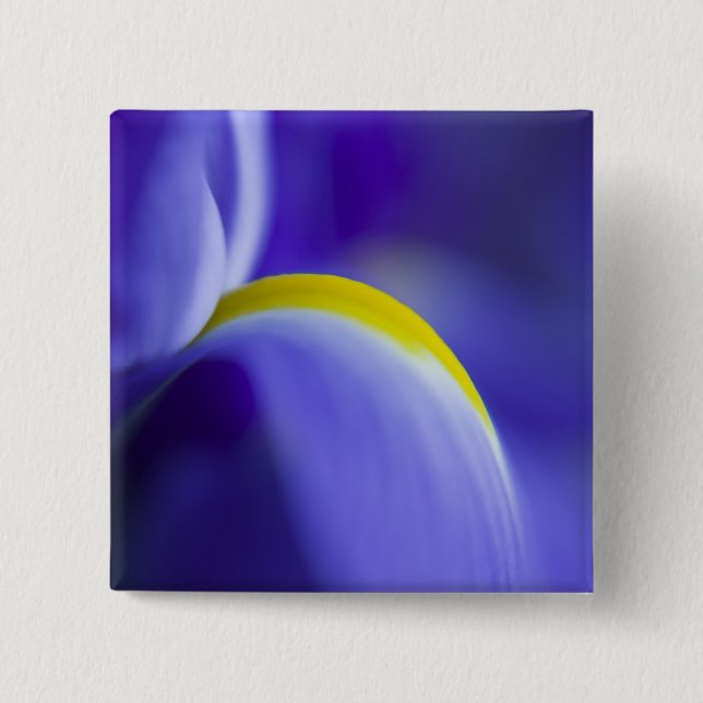 Close-up detail of a Blue Flag iris. Pinback Button (Front)
