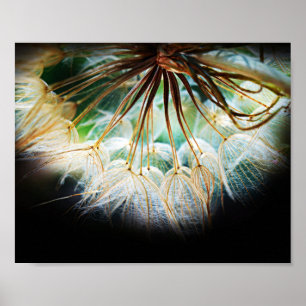 Close Up Detailed Flower Nature Photography Poster