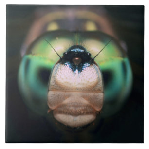 Close-up Dragonfly Iridescent Compound Eyes Tile