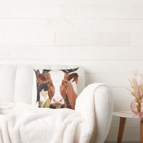 Close_up Face of Red White Holstein Cow Throw Pillow