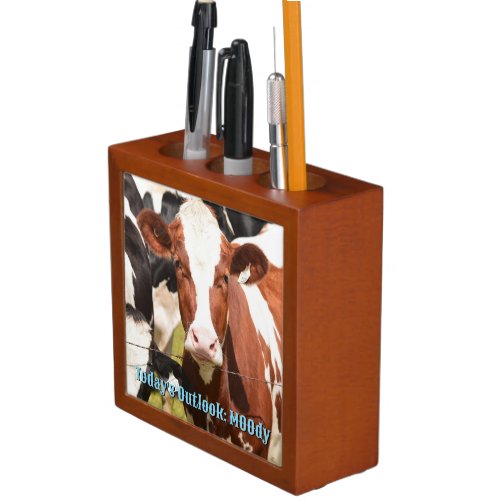 Close_up Face of Red White Holstein Dairy Cow Desk Organizer