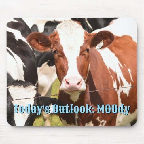 Close_up Face of Red White Holstein Dairy Cow Mouse Pad