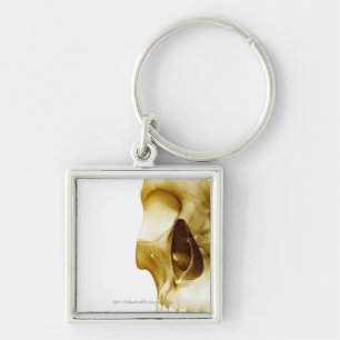Close up frontal view of the brain inside a skull keychain