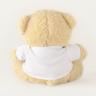 Close-Up Full Moon in the Night Sky. Photography Teddy Bear