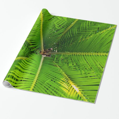 Close_up Green Palm Tree Leaves Wrapping Paper