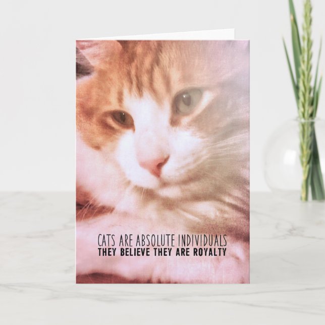 CLOSE UP Greeting Card (Front)