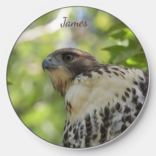 Close Up Head Shot of a Red Tail Hawk Wireless Charger (Front)