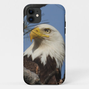 Close Up Head Shot of Bald Eagle iPhone 11 Case
