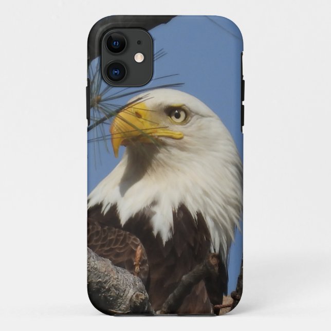 Close Up Head Shot of Bald Eagle Case-Mate iPhone Case (Back)
