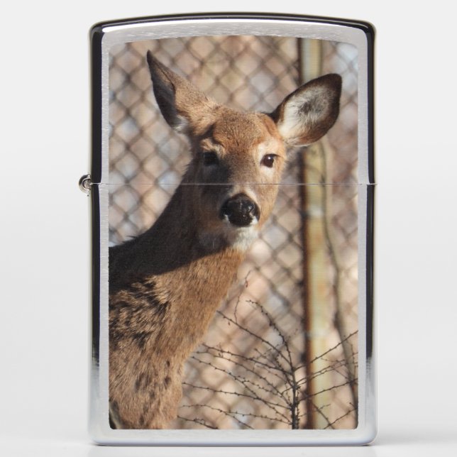 Close Up Head Shot of White Tailed Deer Zippo Lighter (Front)