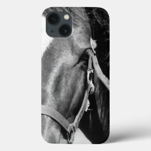 Close-up Horse Eye iPhone 13 Case