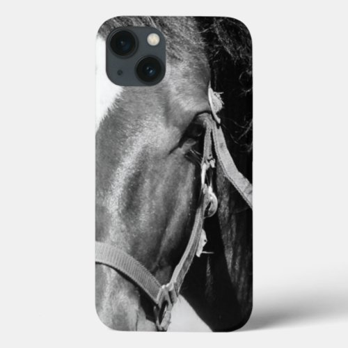 Close_up Horse Eye iPhone 13 Case