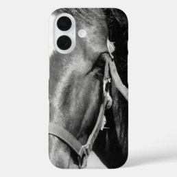 Close-up Horse Eye iPhone 16 Case