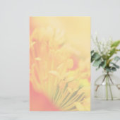 Close Up - Iceland Poppy (Standing Front)
