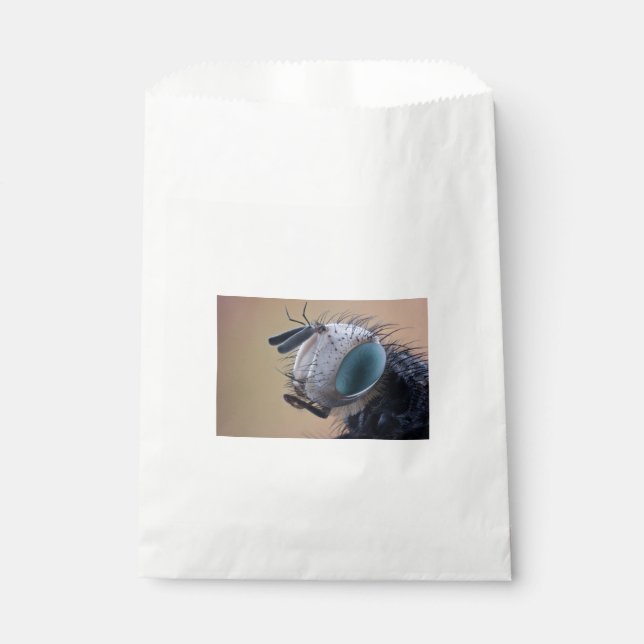Close-up Insect Bug Head Favor Bag (Front)