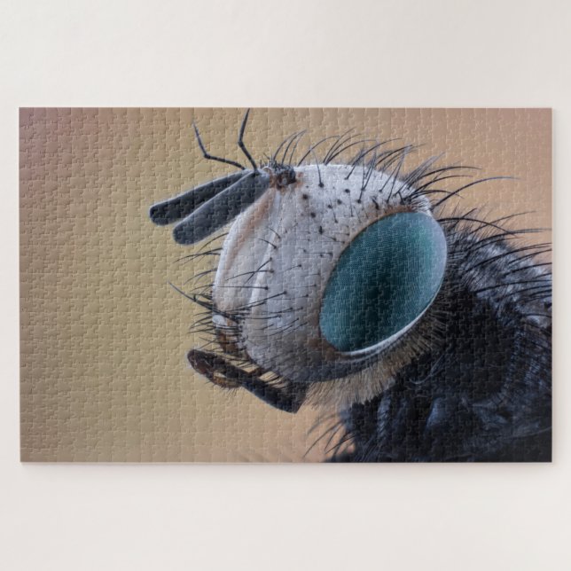 Close-up Insect Bug Head Jigsaw Puzzle (Horizontal)