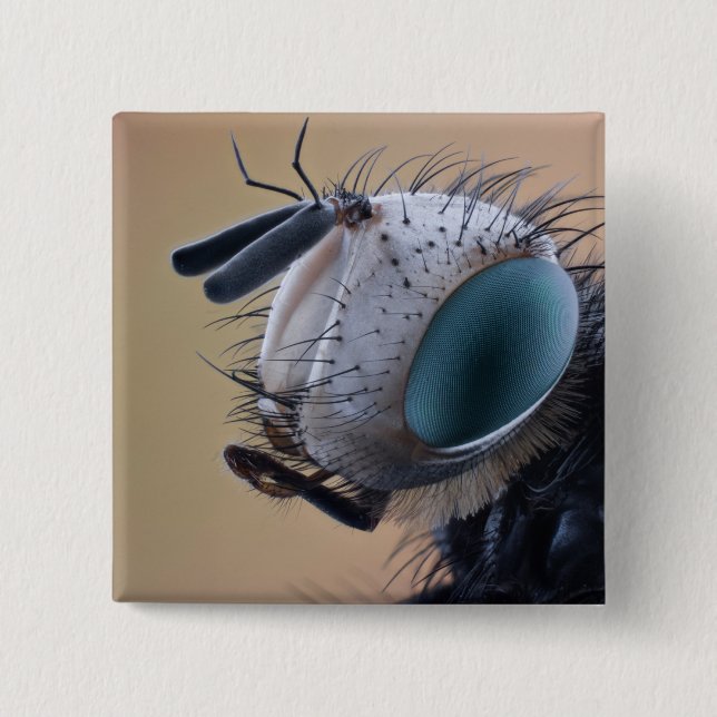 Close-up Insect Head Button (Front)
