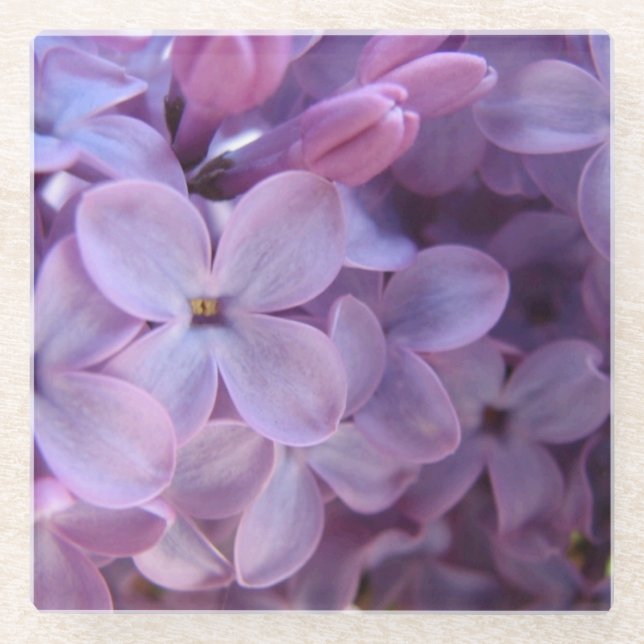 close up lilacs glass coaster (Front)