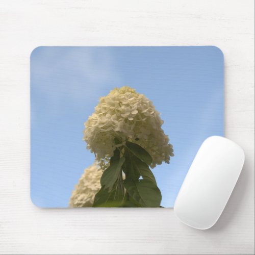 Close_up Lime Hydrangeas pointing to sky Mousepad