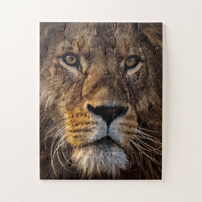 Close Up Lion, Adult Male Jigsaw Puzzle (Vertical)